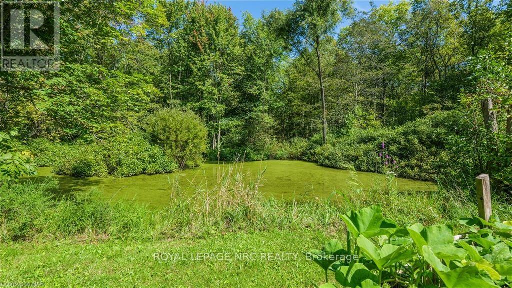 Pt Lt 8 Rymer Road, Haldimand, Ontario  N0A 1K0 - Photo 10 - X9410905