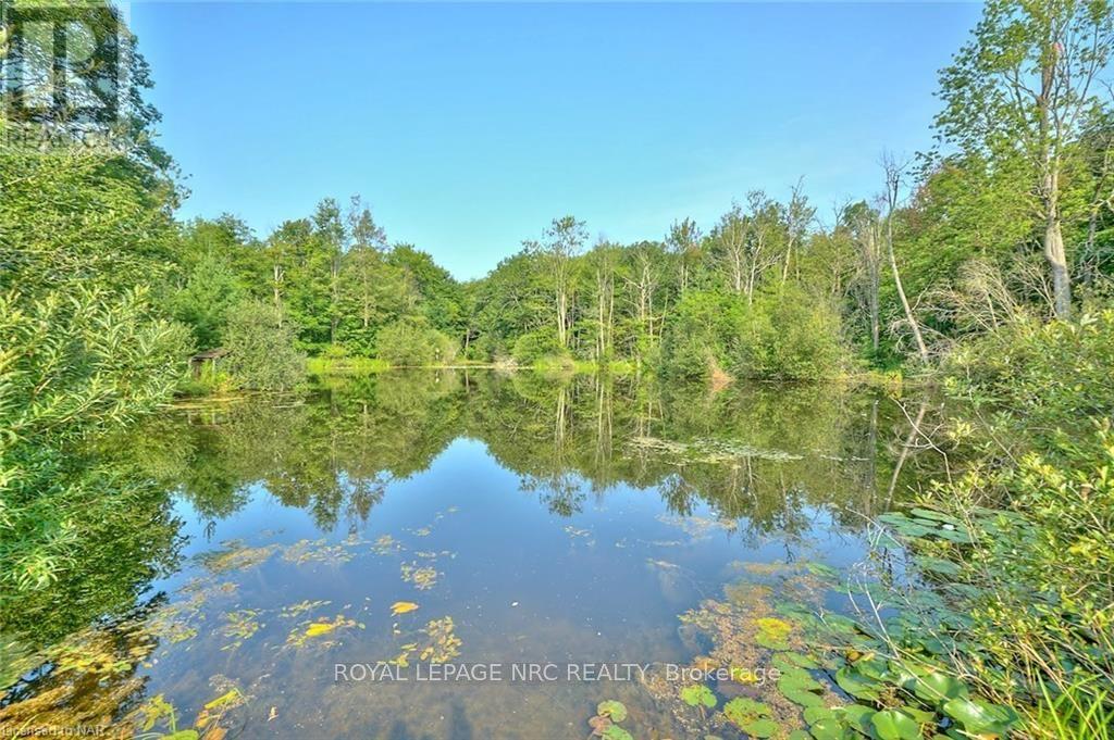 51250 Tunnacliffe Road S, Wainfleet, Ontario  L3B 5N6 - Photo 30 - X9412072