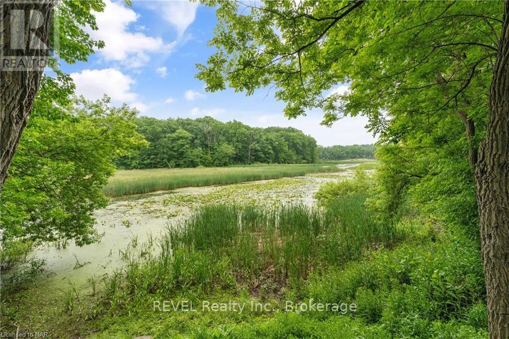 1677 Gregory Road, St. Catharines, Ontario  L2R 6P9 - Photo 36 - X9414220