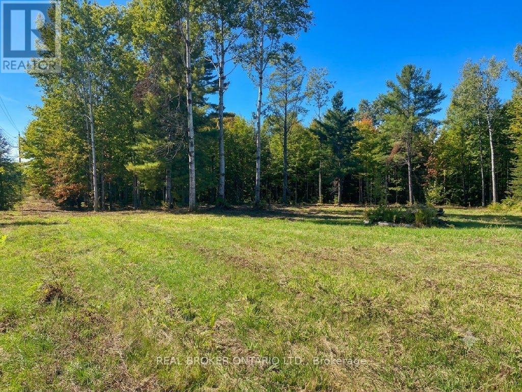 1248 Beiers Road, Gravenhurst, Ontario  P0E 1G0 - Photo 1 - X12442164