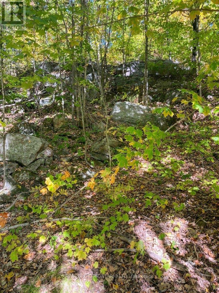 1248 Beiers Road, Gravenhurst, Ontario  P0E 1G0 - Photo 11 - X12442164