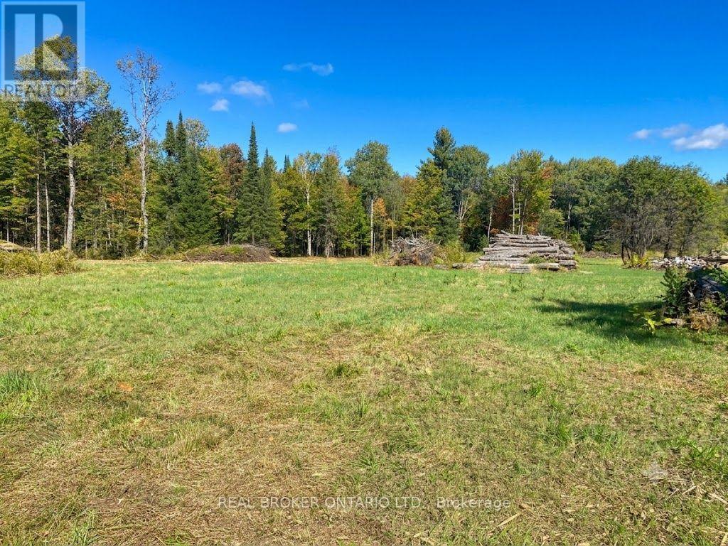 1248 Beiers Road, Gravenhurst, Ontario  P0E 1G0 - Photo 2 - X12442164