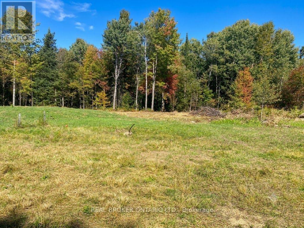 1248 Beiers Road, Gravenhurst, Ontario  P0E 1G0 - Photo 3 - X12442164