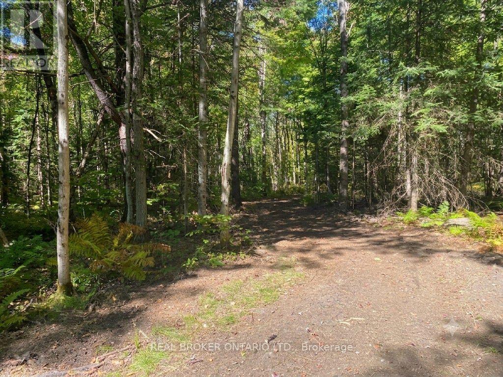 1248 Beiers Road, Gravenhurst, Ontario  P0E 1G0 - Photo 5 - X12442164
