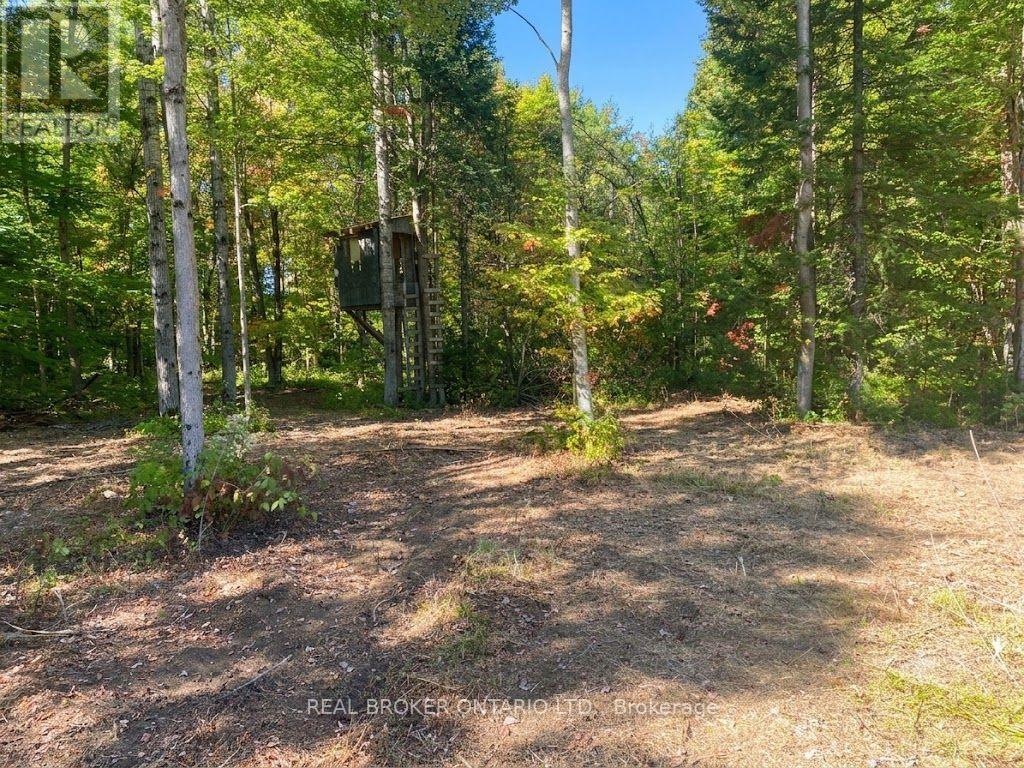 1248 Beiers Road, Gravenhurst, Ontario  P0E 1G0 - Photo 6 - X12442164