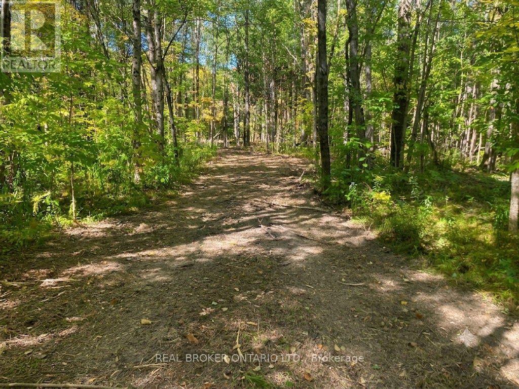 1248 Beiers Road, Gravenhurst, Ontario  P0E 1G0 - Photo 8 - X12442164
