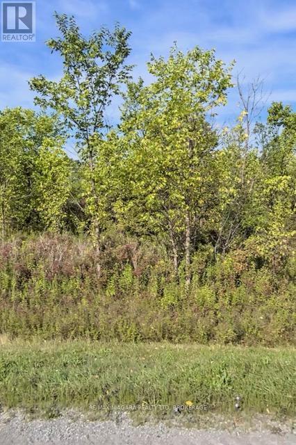 Lot 4 Montrose Road, Niagara Falls, Ontario  L3B 5N7 - Photo 1 - X12828834