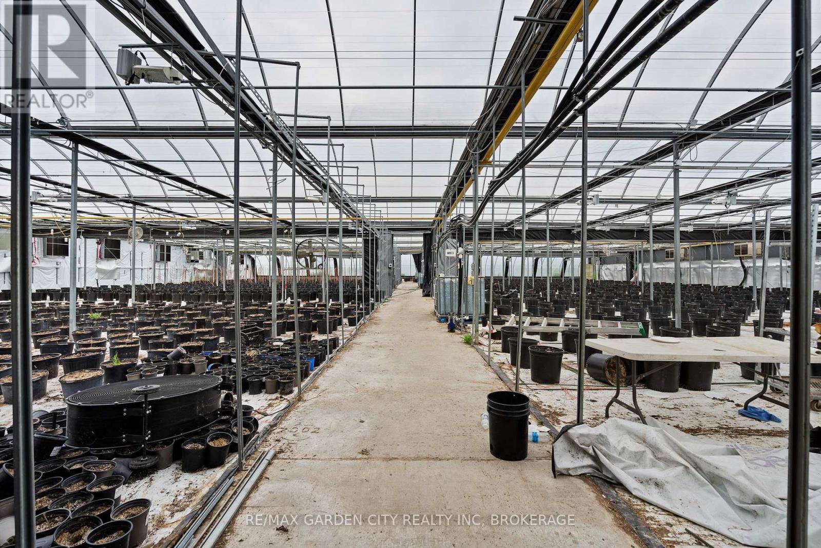 Greenhouse - 53825 Zion Road, Wainfleet, Ontario  L0S 1V0 - Photo 20 - X12933380