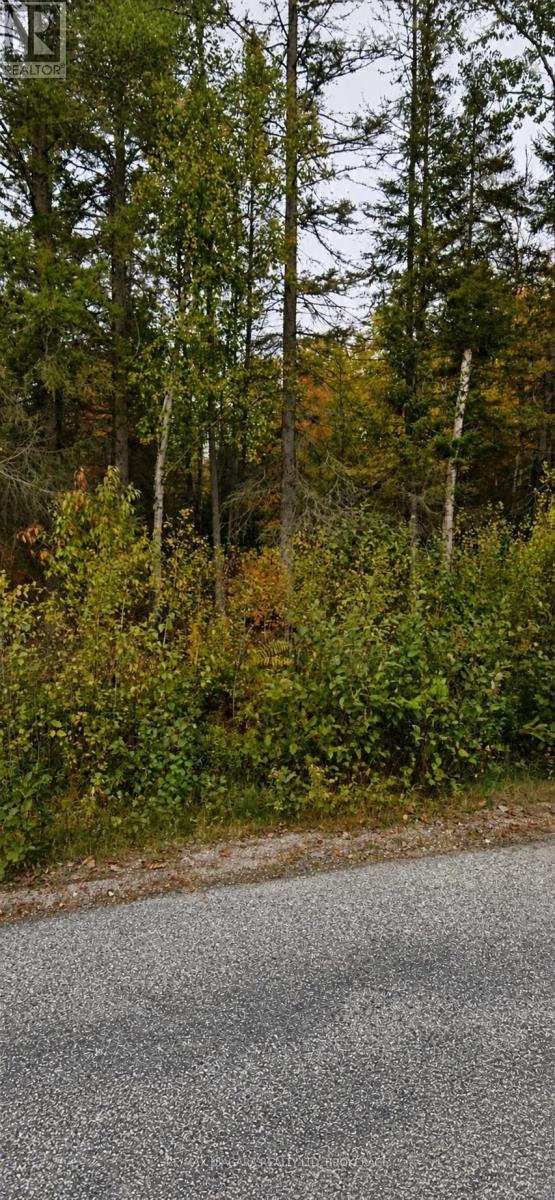None Sweezey Street, Powassan, Ontario  P0H 2L0 - Photo 1 - X13074334