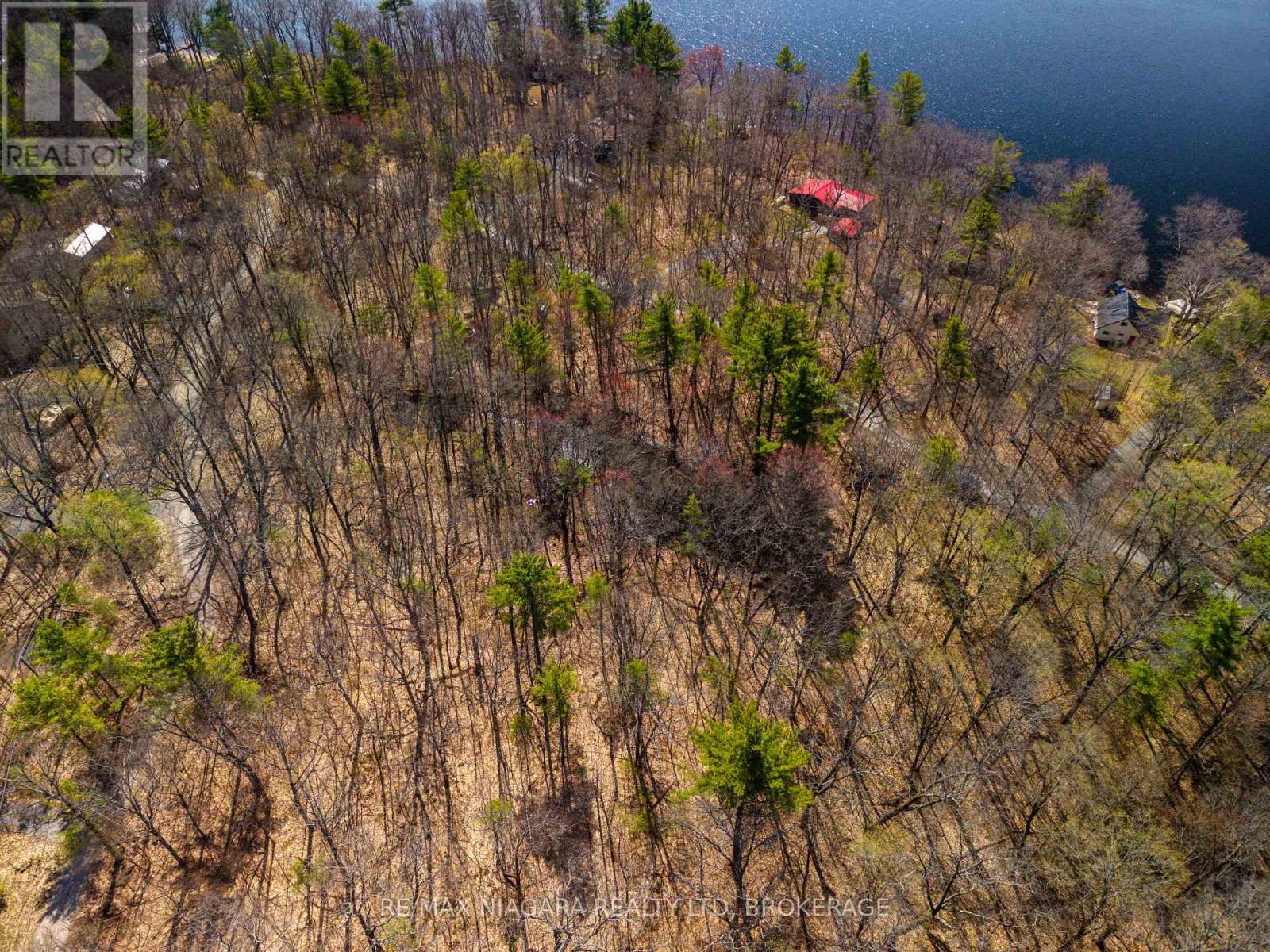 127 Oak Shores Lane, Frontenac, Ontario  K0H 2V0 - Photo 10 - X13088224