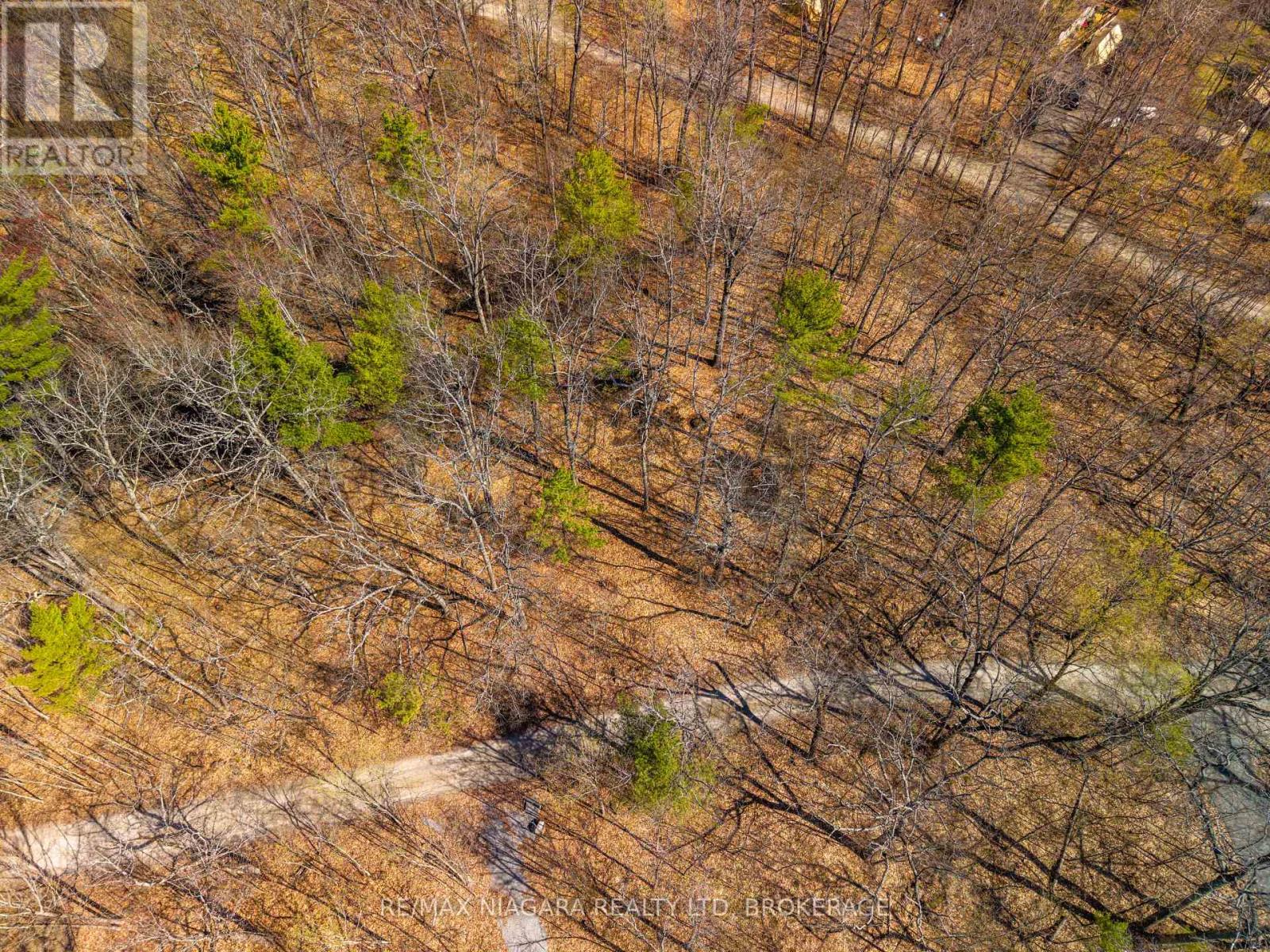 127 Oak Shores Lane, Frontenac, Ontario  K0H 2V0 - Photo 13 - X13088224