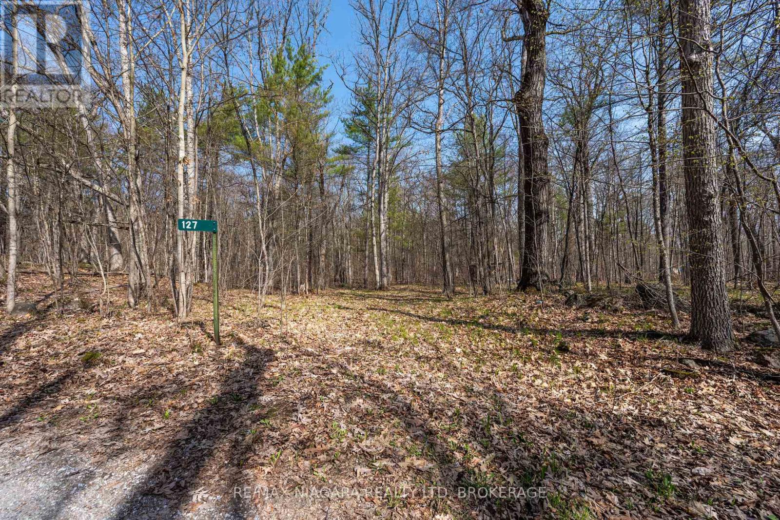 127 Oak Shores Lane, Frontenac, Ontario  K0H 2V0 - Photo 14 - X13088224