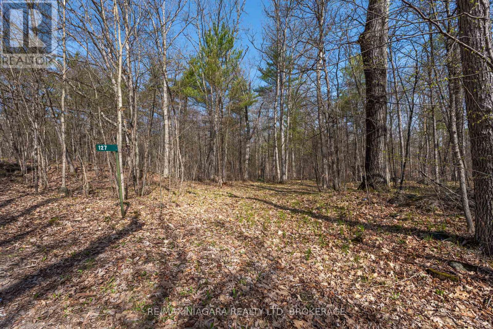 127 Oak Shores Lane, Frontenac, Ontario  K0H 2V0 - Photo 15 - X13088224