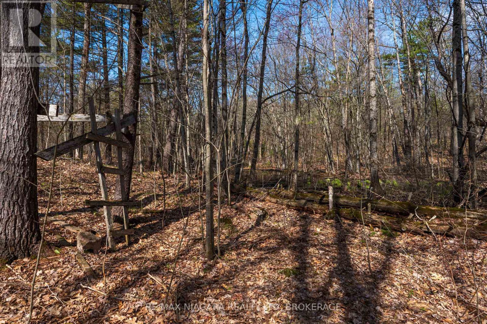 127 Oak Shores Lane, Frontenac, Ontario  K0H 2V0 - Photo 19 - X13088224