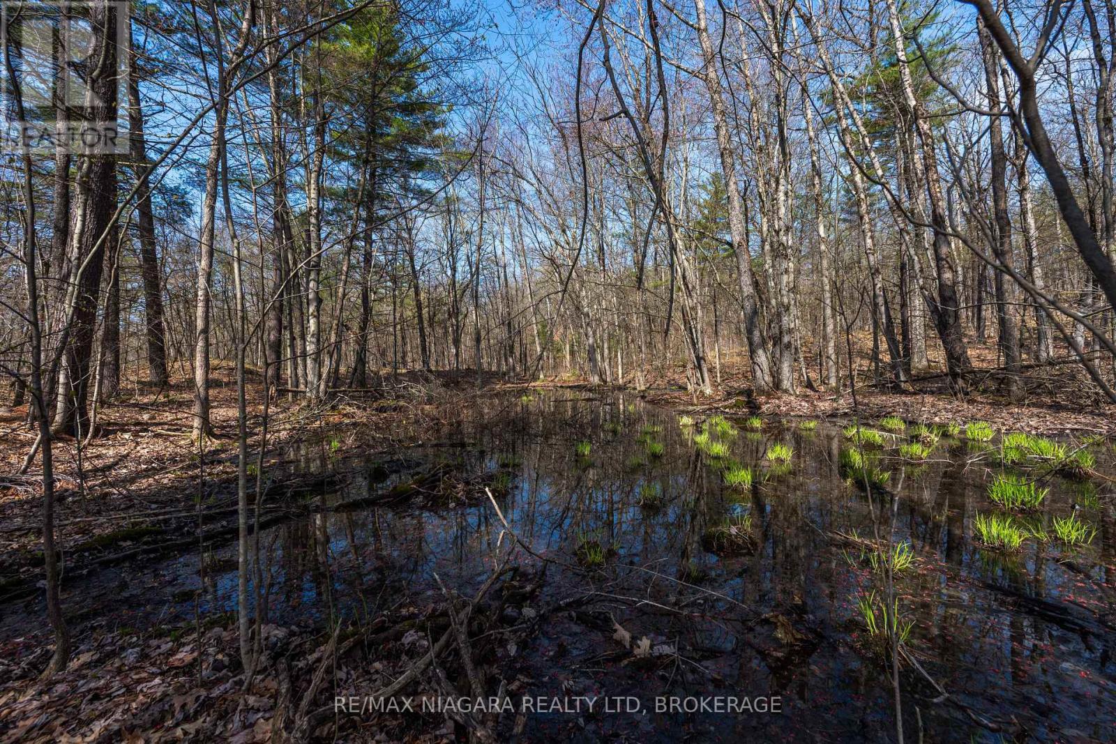 127 Oak Shores Lane, Frontenac, Ontario  K0H 2V0 - Photo 20 - X13088224
