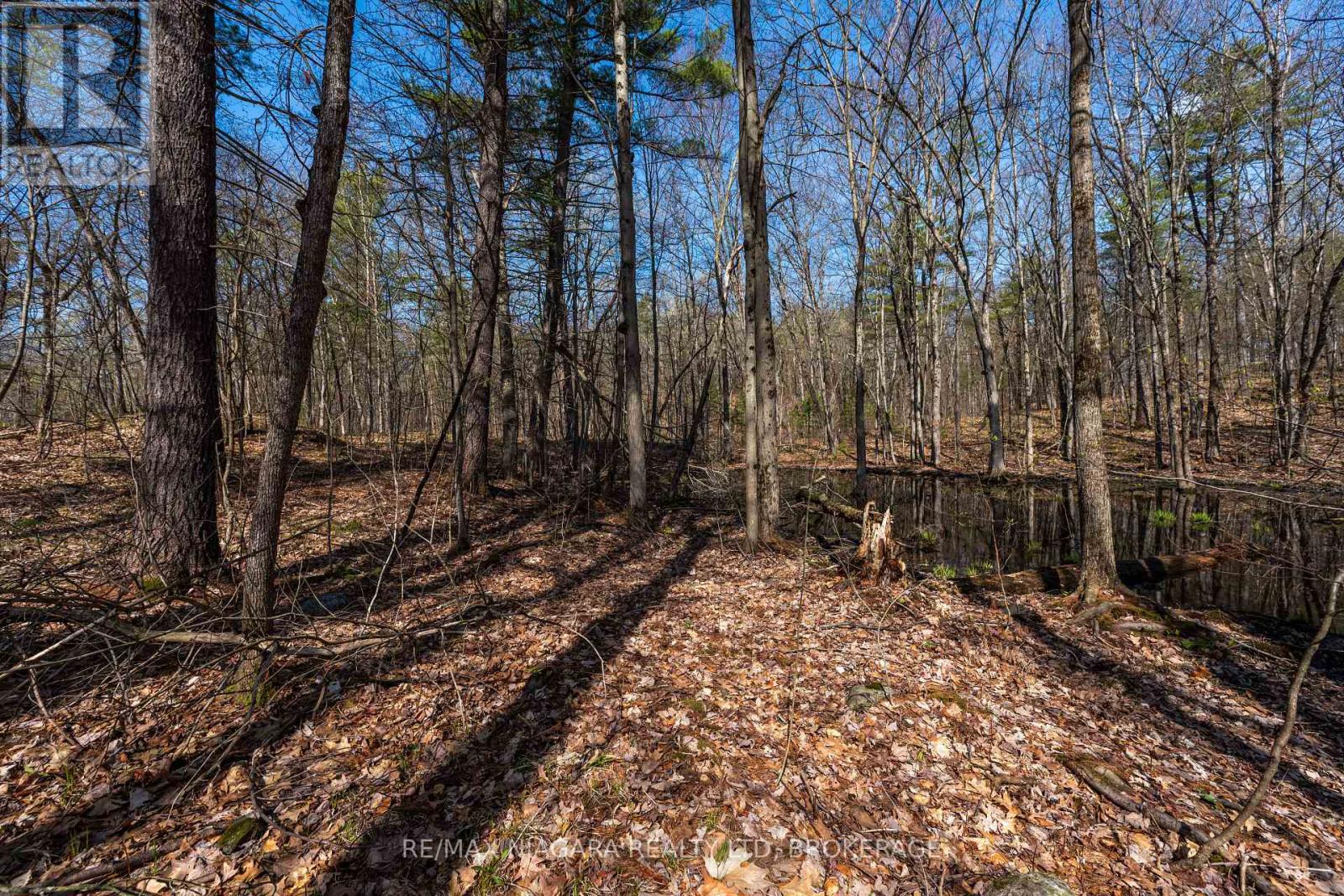 127 Oak Shores Lane, Frontenac, Ontario  K0H 2V0 - Photo 21 - X13088224