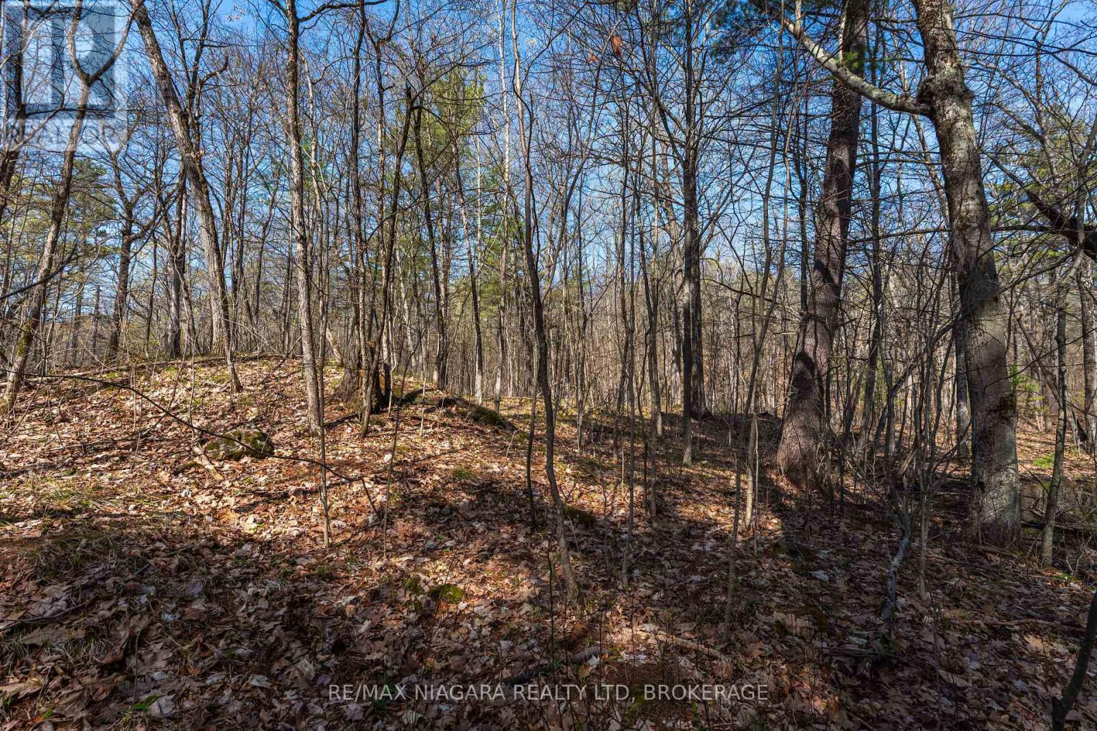127 Oak Shores Lane, Frontenac, Ontario  K0H 2V0 - Photo 22 - X13088224