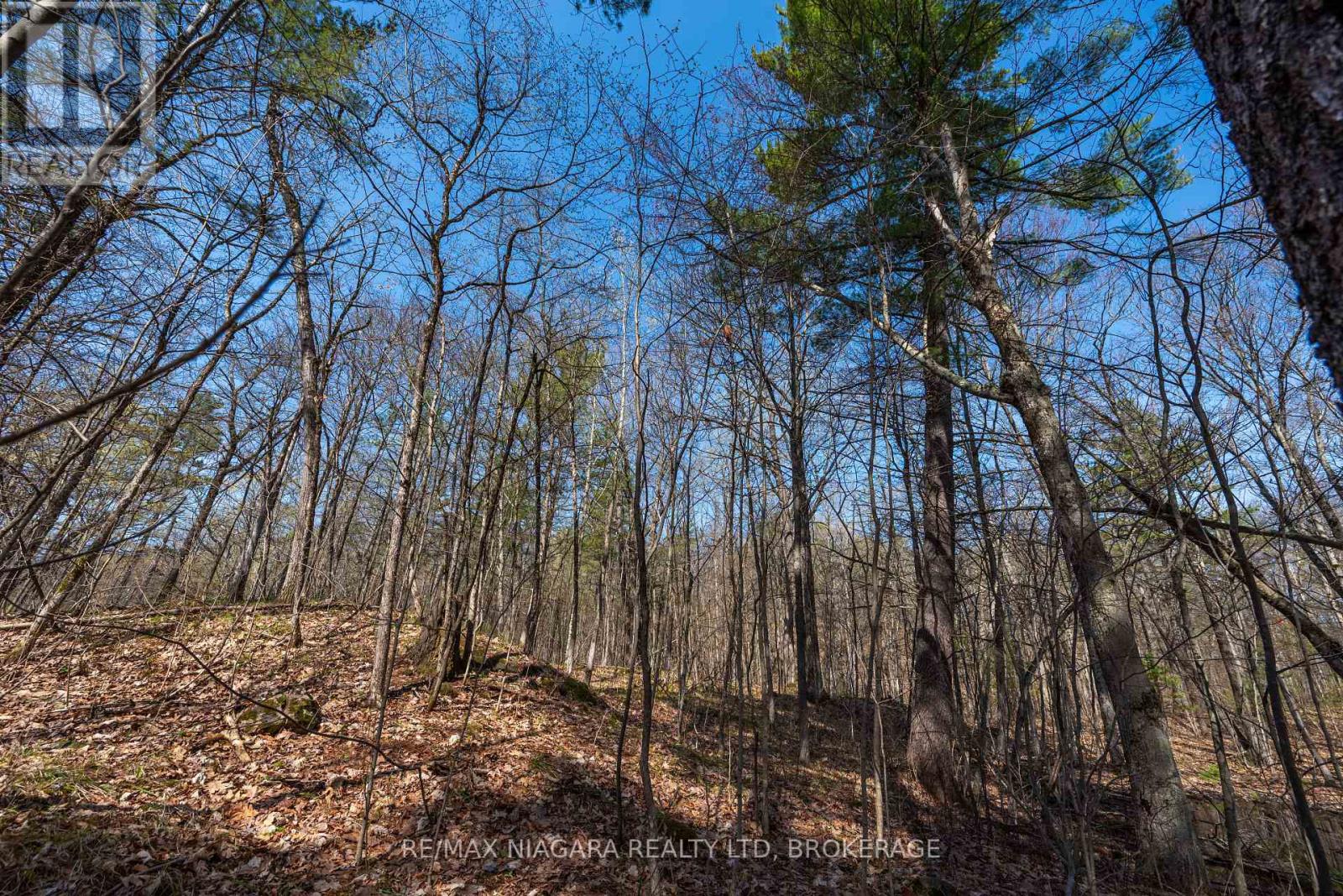 127 Oak Shores Lane, Frontenac, Ontario  K0H 2V0 - Photo 23 - X13088224
