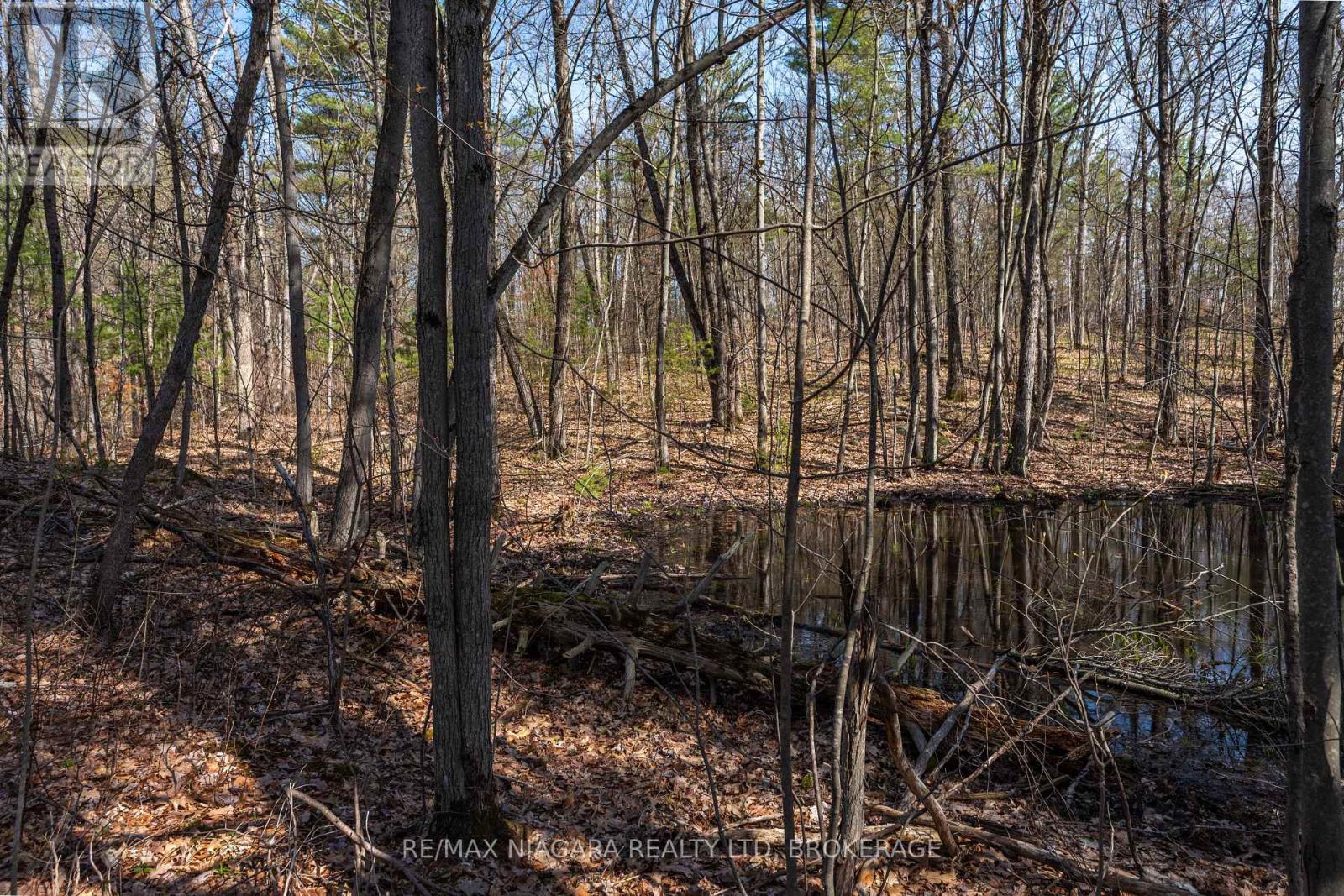 127 Oak Shores Lane, Frontenac, Ontario  K0H 2V0 - Photo 24 - X13088224