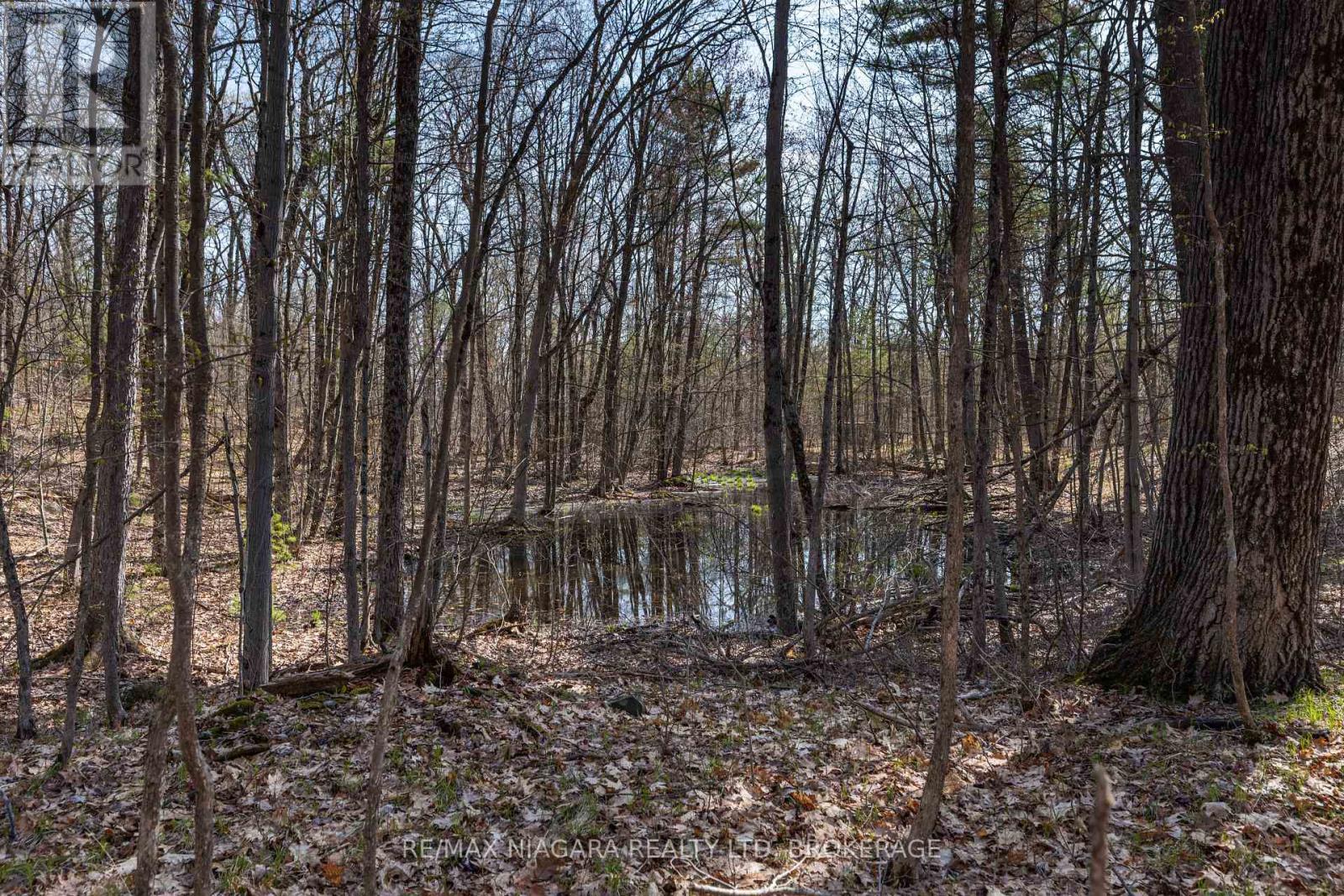 127 Oak Shores Lane, Frontenac, Ontario  K0H 2V0 - Photo 25 - X13088224
