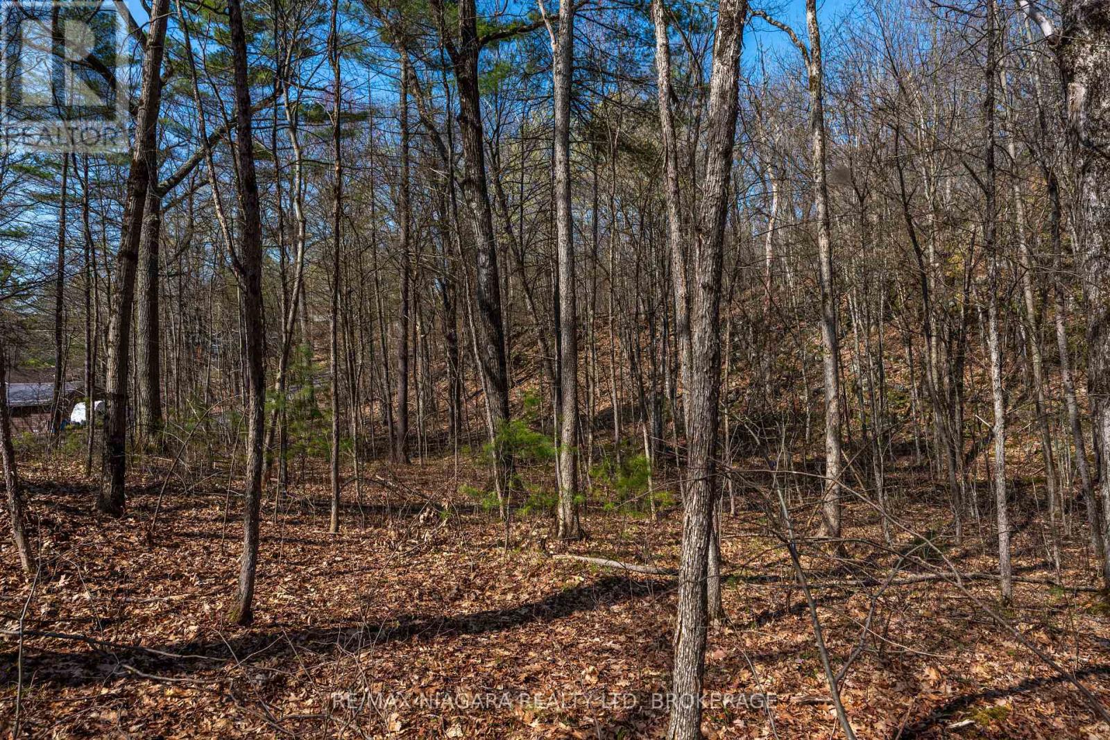 127 Oak Shores Lane, Frontenac, Ontario  K0H 2V0 - Photo 27 - X13088224