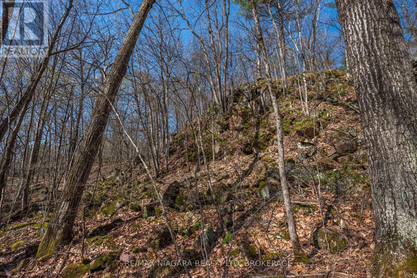 127 Oak Shores Lane, Frontenac, Ontario  K0H 2V0 - Photo 28 - X13088224