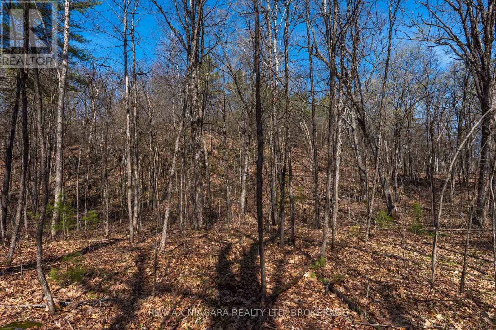 127 Oak Shores Lane, Frontenac, Ontario  K0H 2V0 - Photo 31 - X13088224