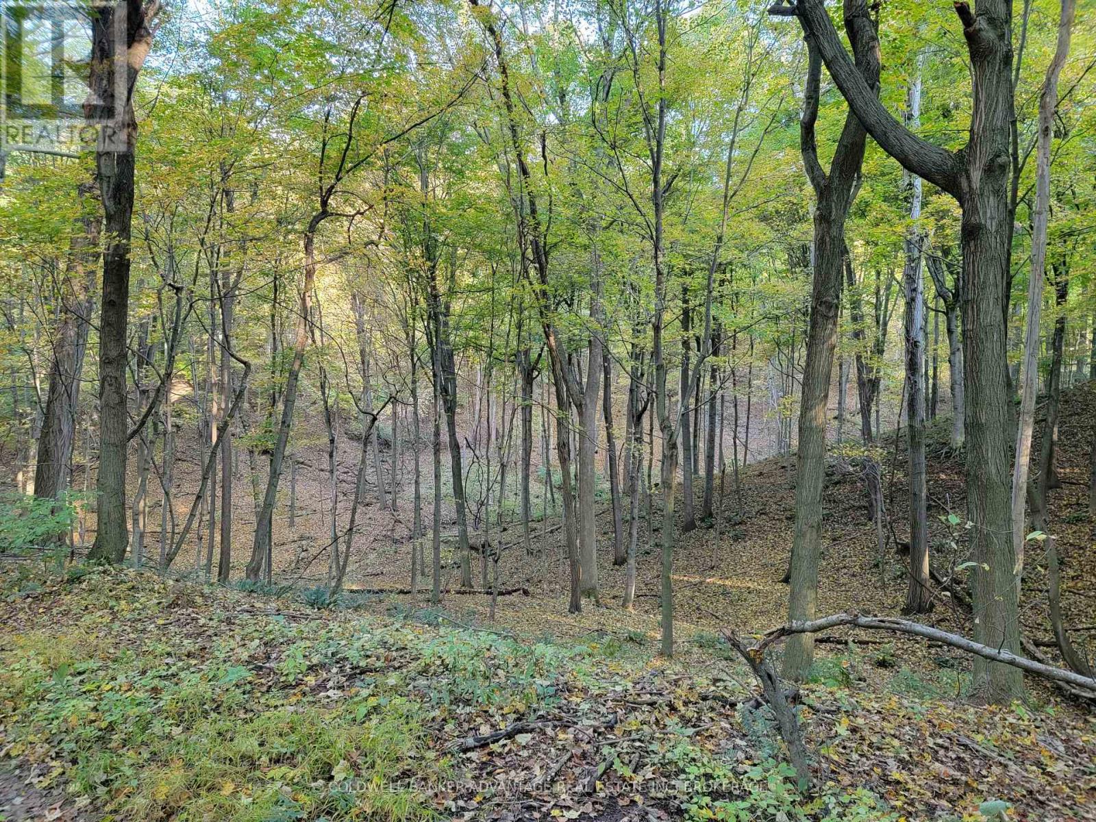 154&155 Lot, Thorold, Ontario  L0S 1E6 - Photo 4 - X13147718