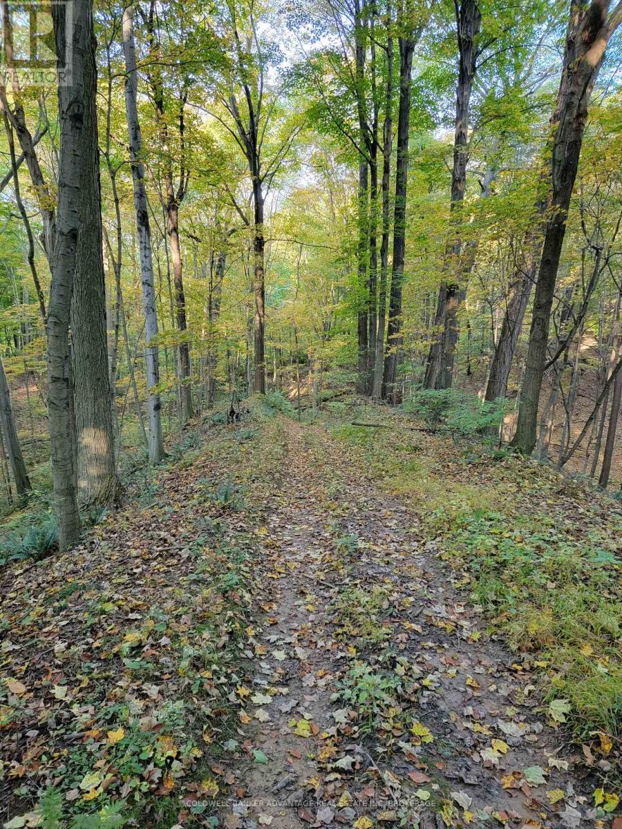 154&155 Lot, Thorold, Ontario  L0S 1E6 - Photo 5 - X13147718