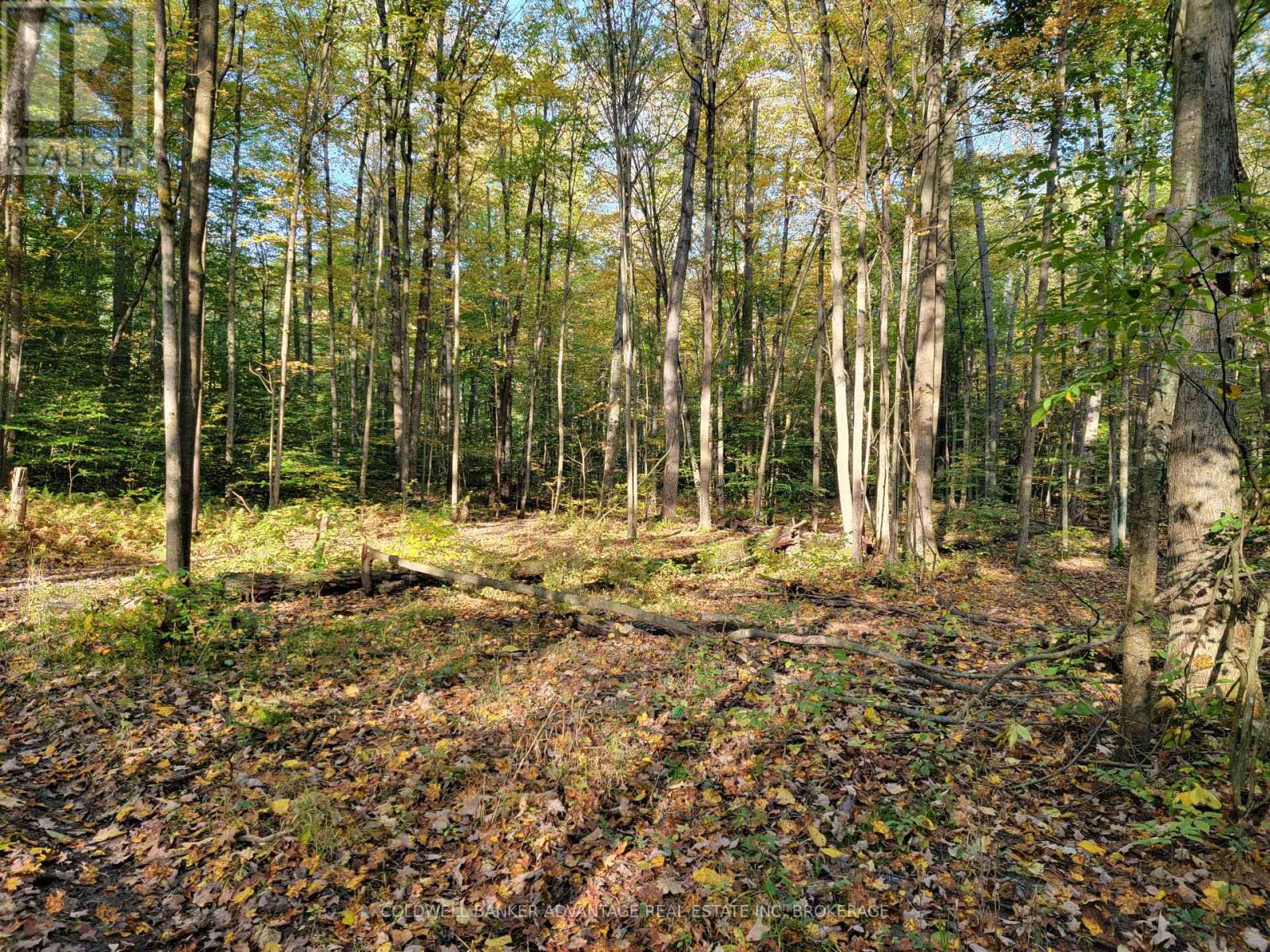 154&155 Lot, Thorold, Ontario  L0S 1E6 - Photo 7 - X13147718