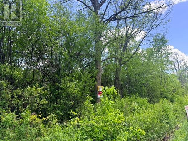 V/l Centralia Avenue N, Fort Erie, Ontario  L0S 1N0 - Photo 1 - X13210404