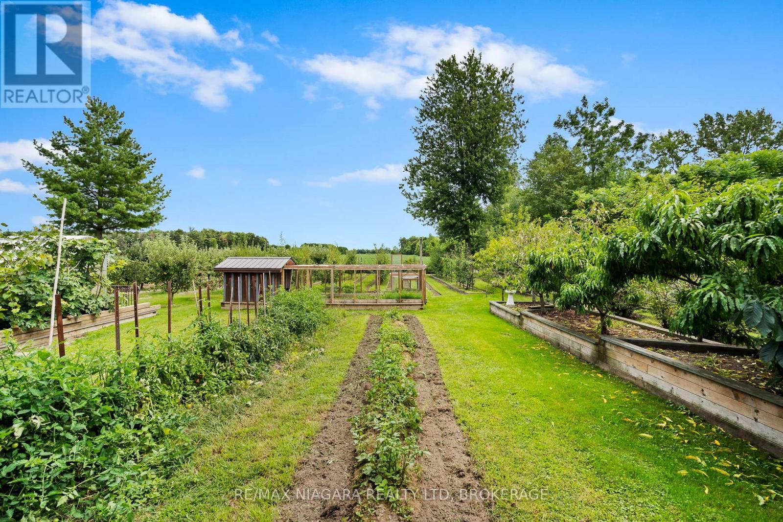63023 Perry Road, Wainfleet, Ontario  L0R 2J0 - Photo 5 - X13223704