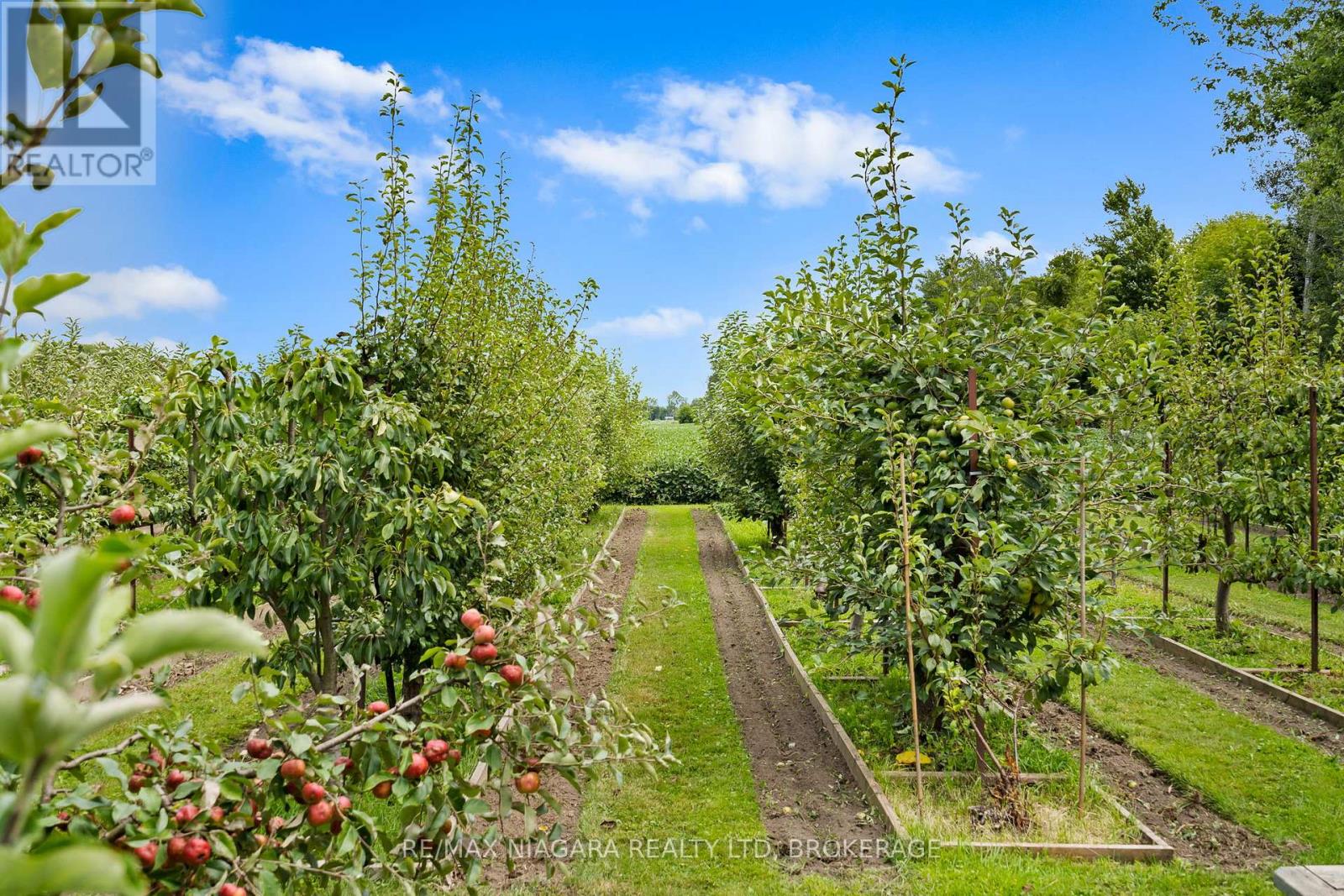 63023 Perry Road, Wainfleet, Ontario  L0R 2J0 - Photo 7 - X13223704