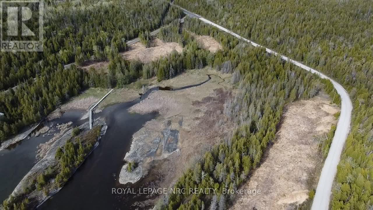 25 Simpson Lot 4 Avenue, Northern Bruce Peninsula, Ontario  N0H 2R0 - Photo 2 - X13228798