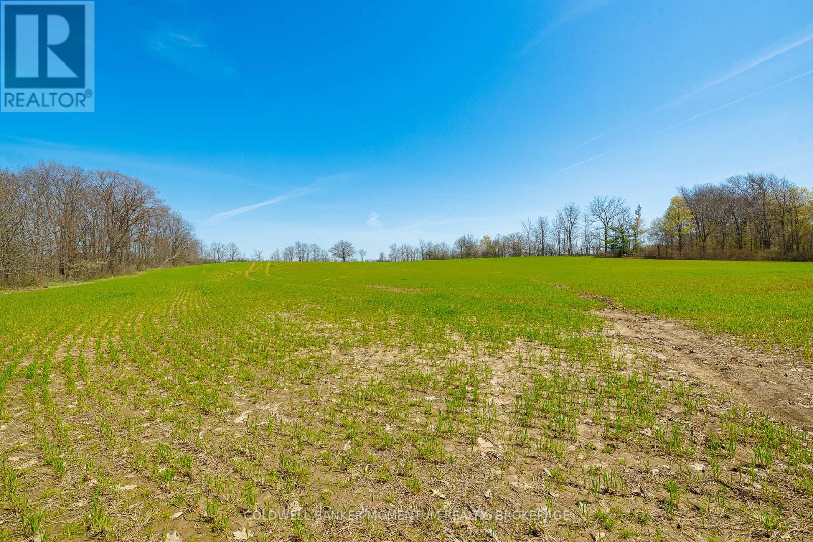 Pt Lot 7 Con 9 Tintern Road, Lincoln, Ontario  L0R 2C0 - Photo 10 - X13237718