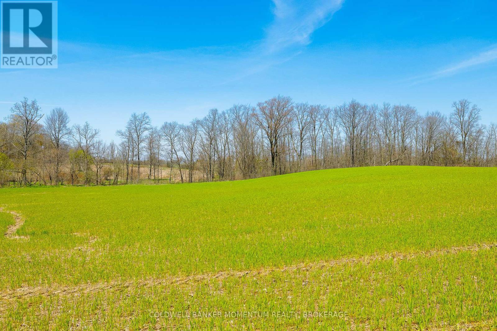 Pt Lot 7 Con 9 Tintern Road, Lincoln, Ontario  L0R 2C0 - Photo 14 - X13237718