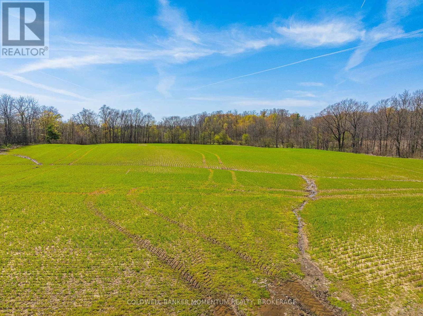 Pt Lot 7 Con 9 Tintern Road, Lincoln, Ontario  L0R 2C0 - Photo 19 - X13237718