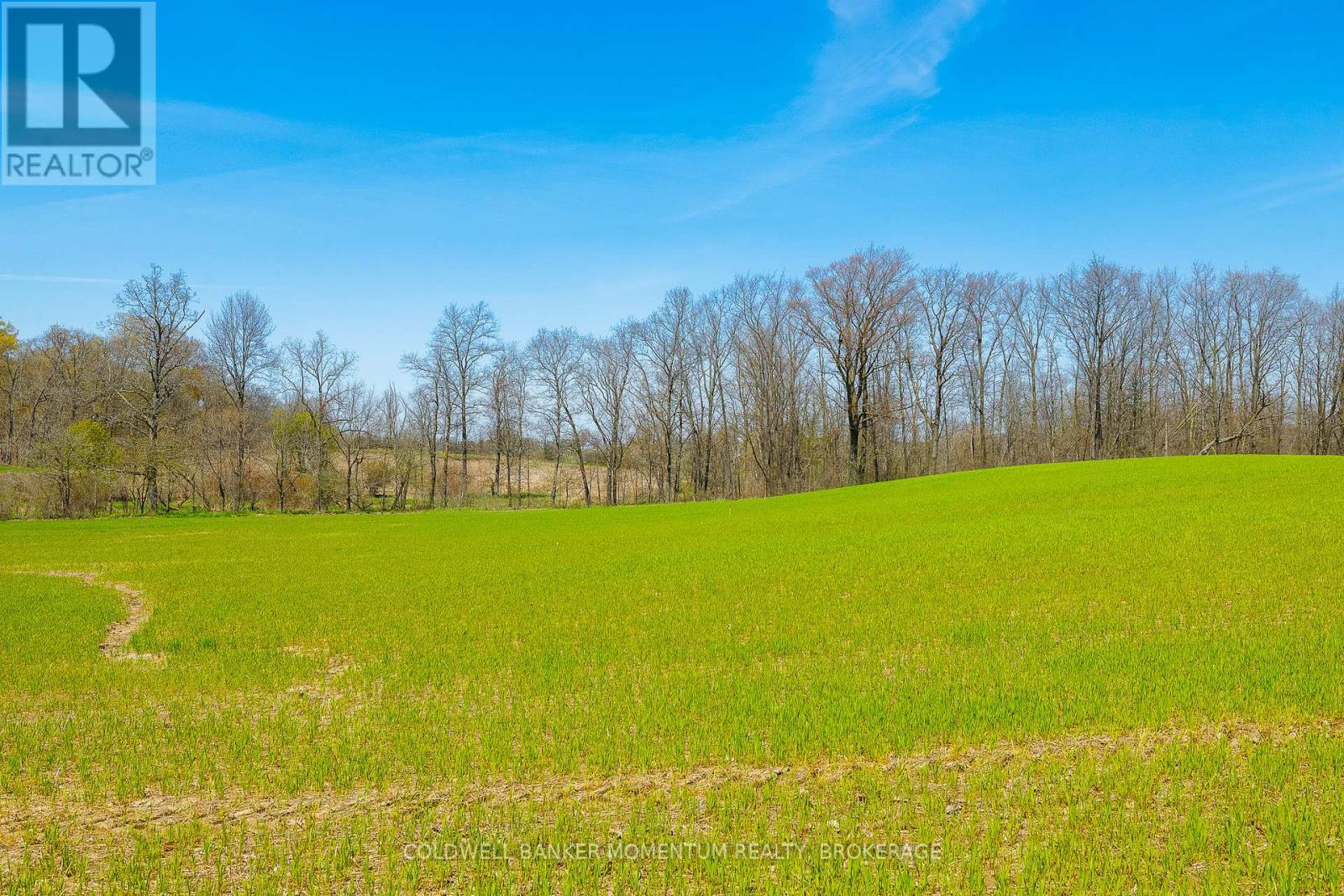 Pt Lot 7 Con 9 Tintern Road, Lincoln, Ontario  L0R 2C0 - Photo 4 - X13237718