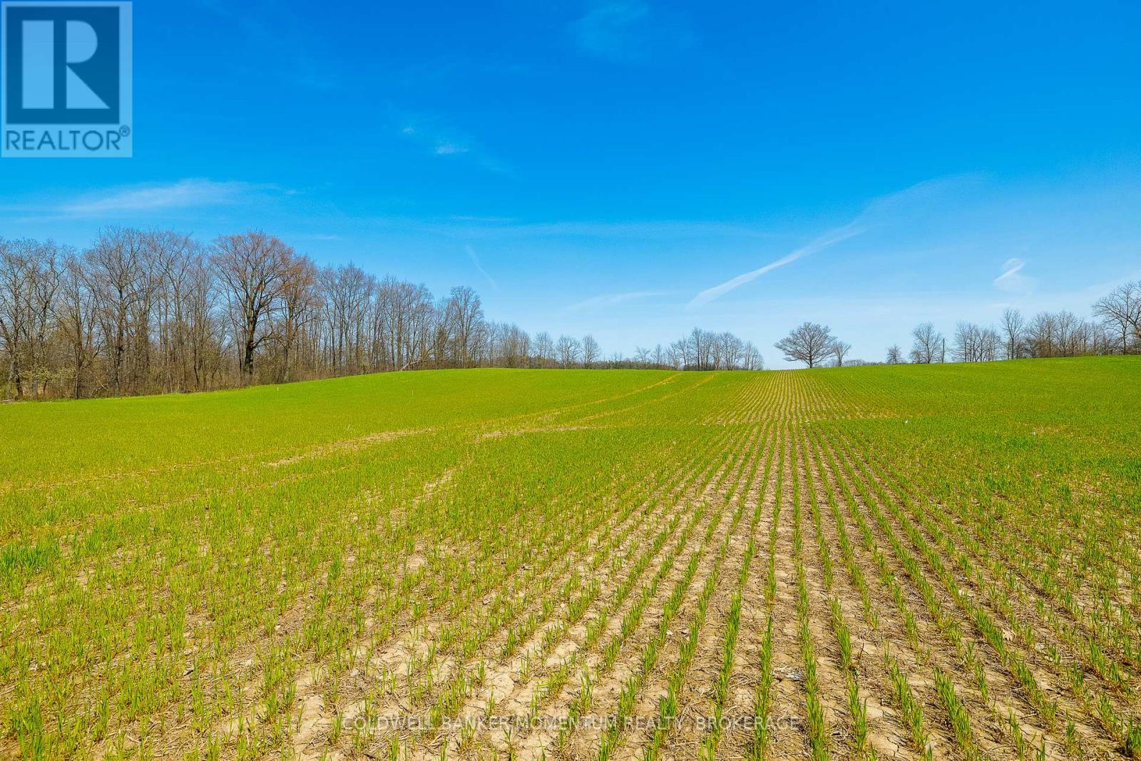 Pt Lot 7 Con 9 Tintern Road, Lincoln, Ontario  L0R 2C0 - Photo 9 - X13237718