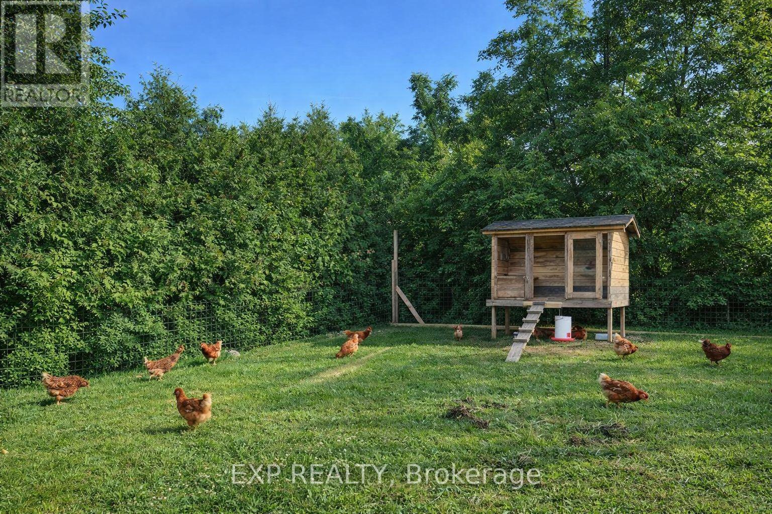 3460 Garner Road, Niagara Falls, Ontario  L2H 0S3 - Photo 5 - X13436942