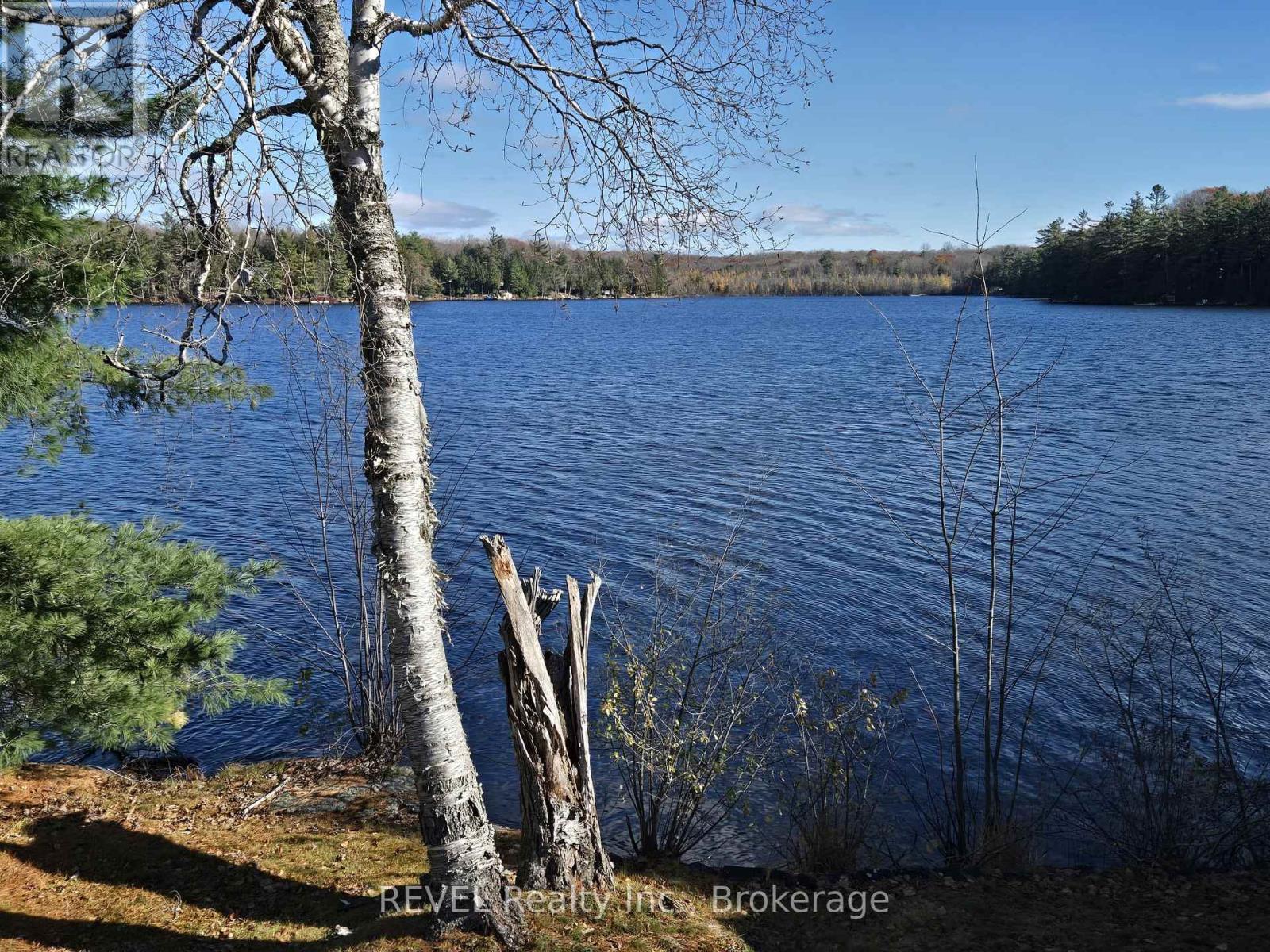1031 Butterfly Road, Muskoka Lakes, Ontario  P0C 1A0 - Photo 7 - X13460074