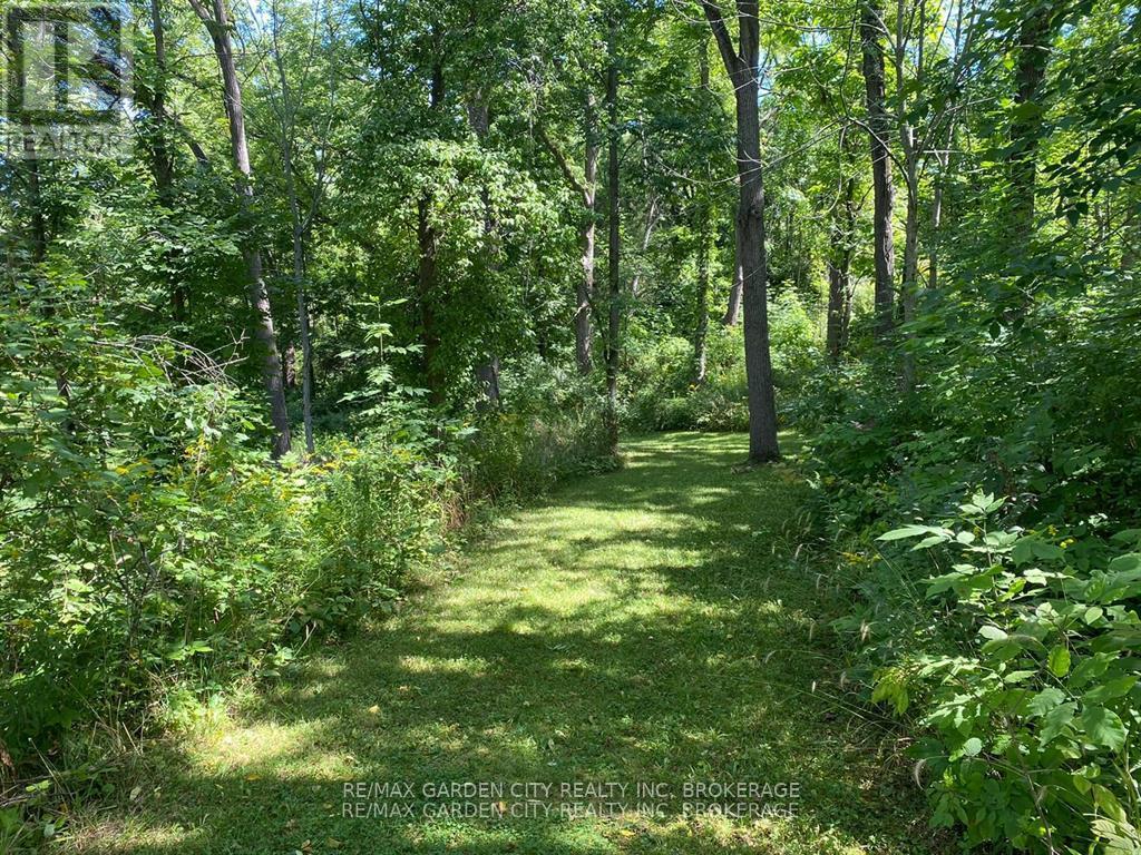 Pt Lt 3 Effingham Street, Pelham, Ontario  L2R 6P7 - Photo 4 - X13460384