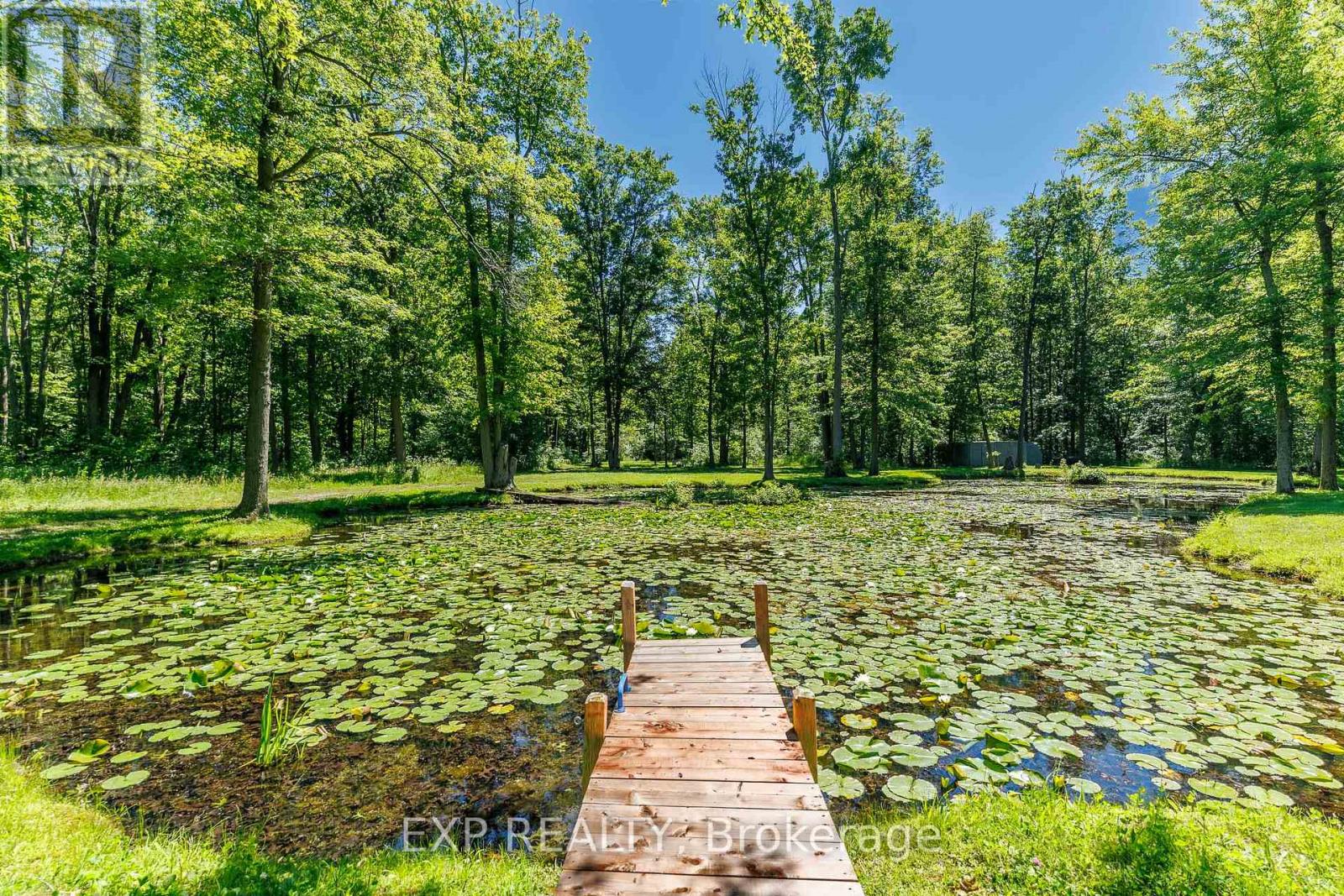 50849 O'reilly's Road S, Wainfleet, Ontario  L0S 1V0 - Photo 40 - X13489272