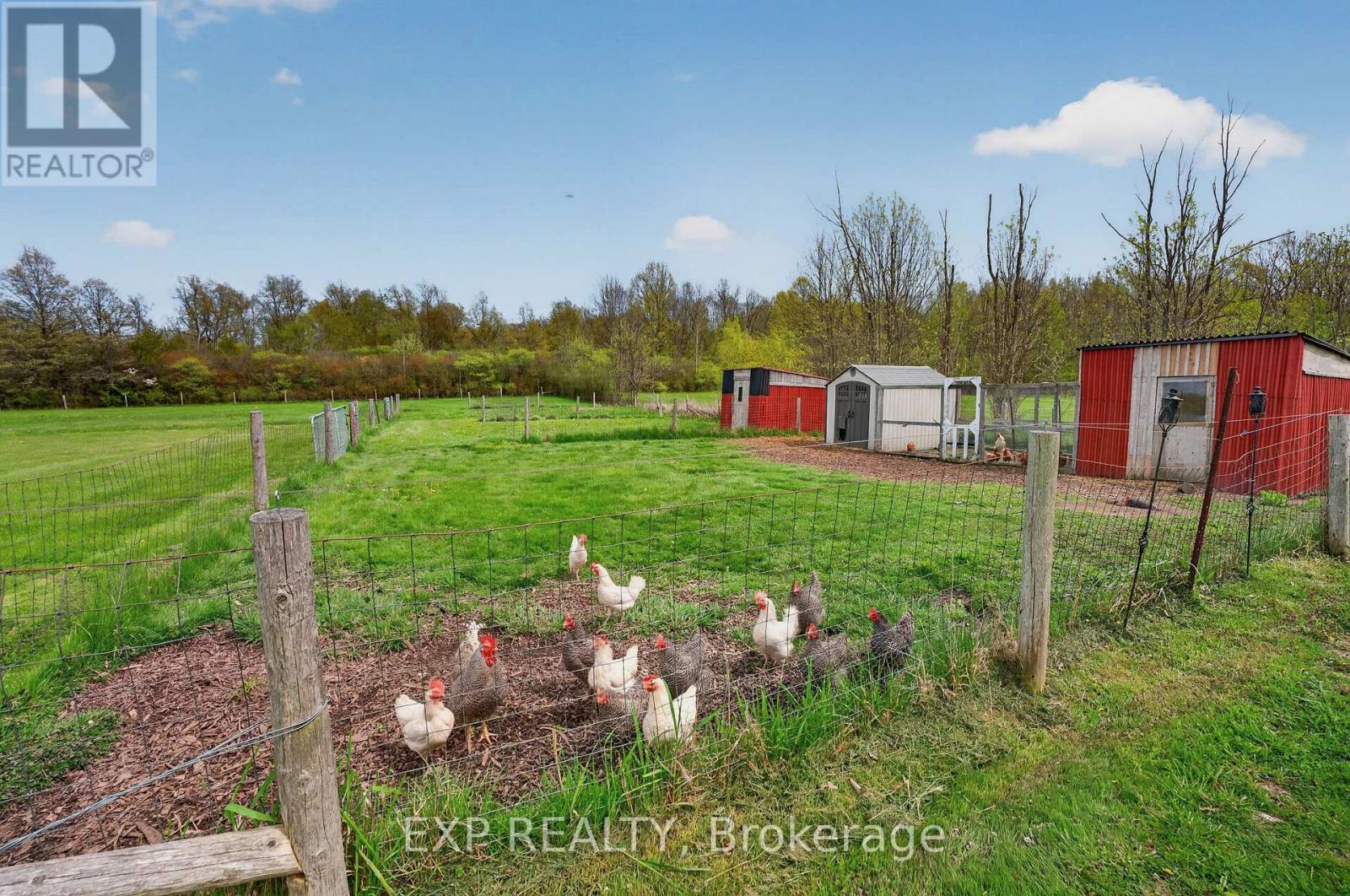 2266 Pettit Road, Fort Erie, Ontario  L2A 5M4 - Photo 6 - X13559366