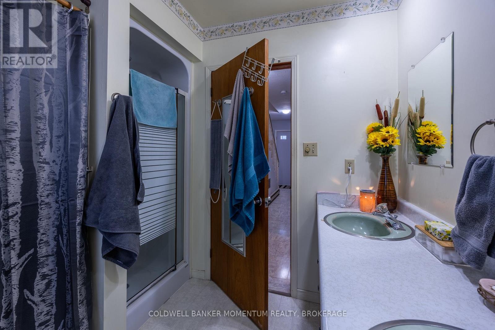 54428 Talbot Line, Bayham, Ontario  N0J 1H0 - Photo 23 - X13548652