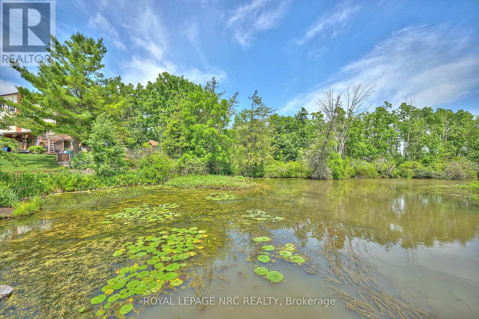 10266 Willodell Road, Niagara Falls, Ontario  L0S 1K0 - Photo 16 - X13570392